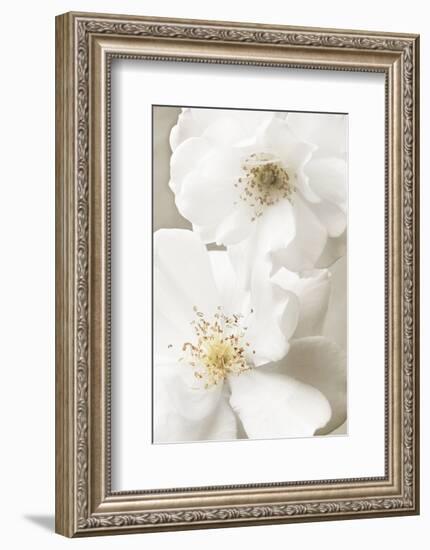 Neutral-Christine Zalewski-Framed Art Print