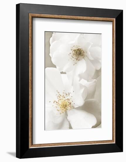 Neutral-Christine Zalewski-Framed Art Print