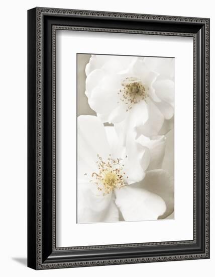 Neutral-Christine Zalewski-Framed Art Print