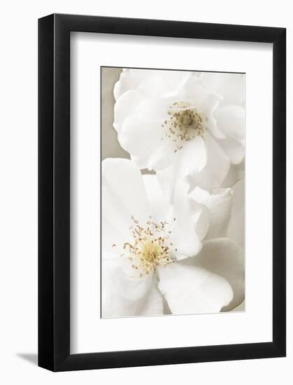 Neutral-Christine Zalewski-Framed Art Print