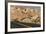 Nevada, Clark County, Valley of Fire State Park. Rainbow Vista Area-Brent Bergherm-Framed Photographic Print