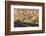 Nevada, Clark County, Valley of Fire State Park. Rainbow Vista Area-Brent Bergherm-Framed Photographic Print