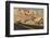 Nevada, Clark County, Valley of Fire State Park. Rainbow Vista Area-Brent Bergherm-Framed Photographic Print