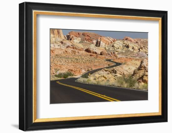 Nevada, Clark County, Valley of Fire State Park. Rainbow Vista Area-Brent Bergherm-Framed Photographic Print