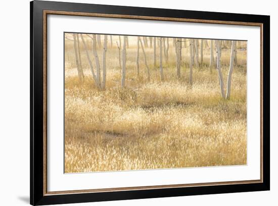 Nevada, Great Basin National Park. Grassy Meadow and Aspen Trees in Autumn-Jaynes Gallery-Framed Photographic Print