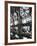 Nevada, Las Vegas, Mccarran International Airport, Slot Machines, USA-Walter Bibikow-Framed Photographic Print