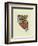 Nevada State Map-Lanre Adefioye-Framed Giclee Print