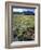 Nevada. Usa. Paintbrush and Grasses Below Goshute Mountains-Scott T. Smith-Framed Photographic Print