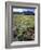 Nevada. Usa. Paintbrush and Grasses Below Goshute Mountains-Scott T. Smith-Framed Photographic Print