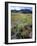 Nevada. Usa. Paintbrush and Grasses Below Goshute Mountains-Scott T. Smith-Framed Photographic Print