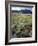 Nevada. Usa. Paintbrush and Grasses Below Goshute Mountains-Scott T. Smith-Framed Photographic Print