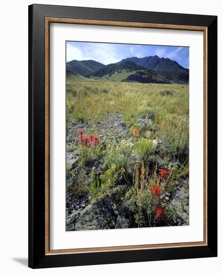 Nevada. Usa. Paintbrush and Grasses Below Goshute Mountains-Scott T. Smith-Framed Photographic Print