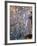 Nevada. Usa. Petroglyphs on Limestone. Arrow Canyon, Mojave Desert-Scott T. Smith-Framed Photographic Print