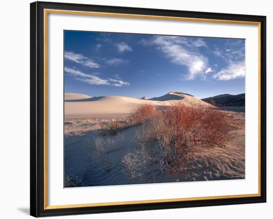 Nevada. Usa. Vegetation on Dunes Below Sand Mountain. Great Basin-Scott T. Smith-Framed Photographic Print