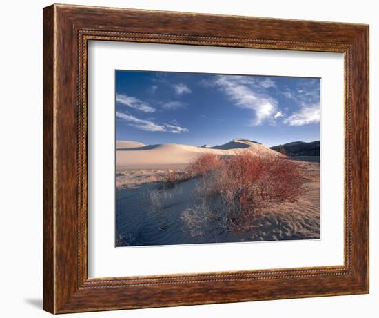 Nevada. Usa. Vegetation on Dunes Below Sand Mountain. Great Basin-Scott T. Smith-Framed Photographic Print