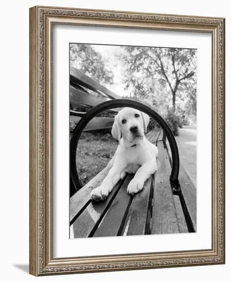 Never Doubt That You Can-Jim Dratfield-Framed Photo