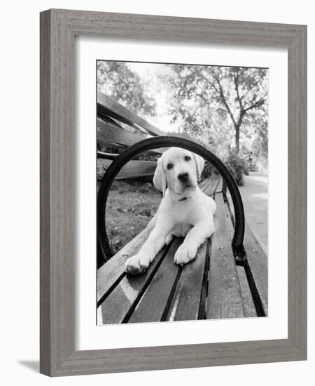 Never Doubt That You Can-Jim Dratfield-Framed Photo