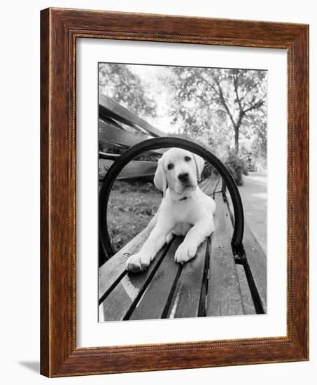 Never Doubt That You Can-Jim Dratfield-Framed Photo