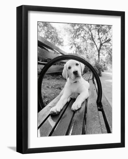 Never Doubt That You Can-Jim Dratfield-Framed Photo