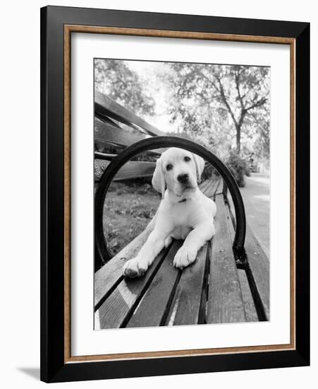 Never Doubt That You Can-Jim Dratfield-Framed Photo