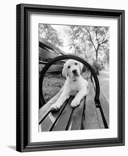 Never Doubt That You Can-Jim Dratfield-Framed Photo