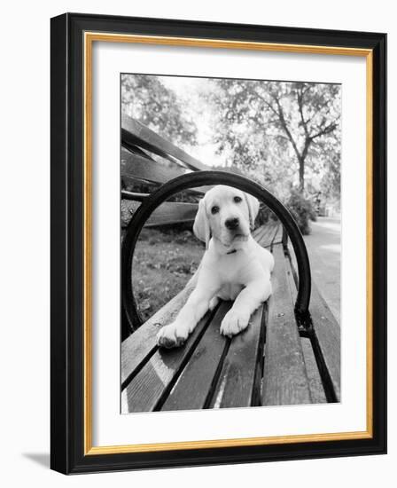 Never Doubt That You Can-Jim Dratfield-Framed Photo
