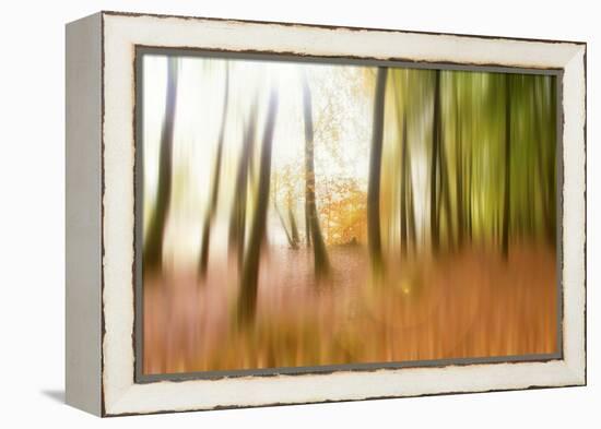 Never Ending Story-Viviane Fedieu Daniel-Framed Premier Image Canvas