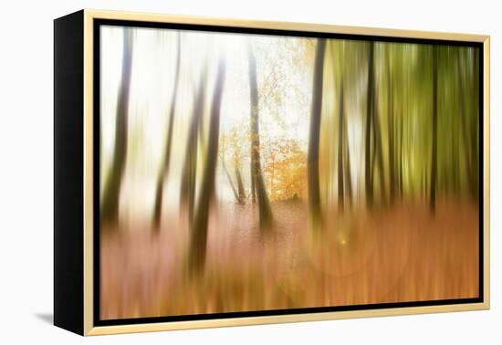 Never Ending Story-Viviane Fedieu Daniel-Framed Premier Image Canvas