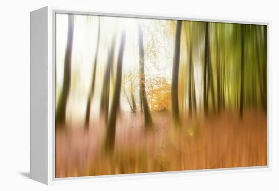 Never Ending Story-Viviane Fedieu Daniel-Framed Premier Image Canvas