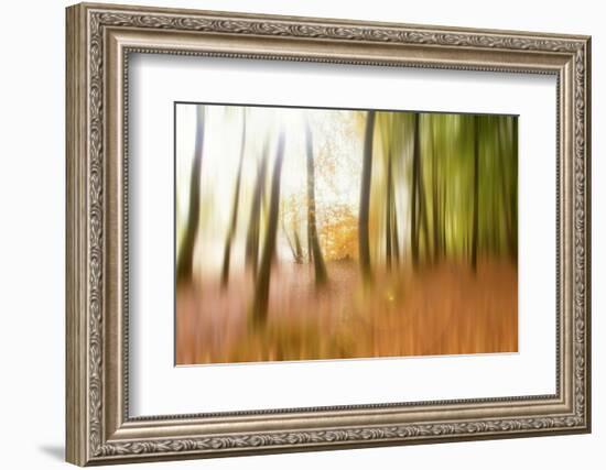 Never Ending Story-Viviane Fedieu Daniel-Framed Photographic Print