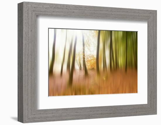 Never Ending Story-Viviane Fedieu Daniel-Framed Photographic Print