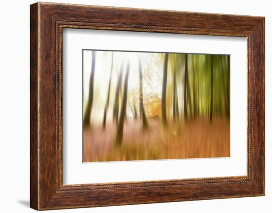 Never Ending Story-Viviane Fedieu Daniel-Framed Photographic Print