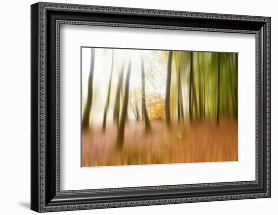 Never Ending Story-Viviane Fedieu Daniel-Framed Photographic Print