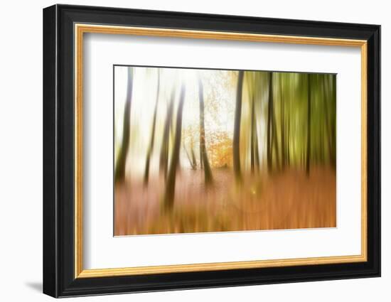 Never Ending Story-Viviane Fedieu Daniel-Framed Photographic Print