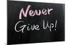 Never Give Up!-Raywoo-Mounted Art Print