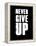 Never Give Up-null-Framed Stretched Canvas