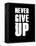 Never Give Up-null-Framed Stretched Canvas