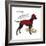 Never Hunt Alone-Dog is Good-Framed Premium Giclee Print