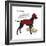 Never Hunt Alone-Dog is Good-Framed Premium Giclee Print