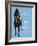 Never Walk Alone-Dog is Good-Framed Premium Giclee Print