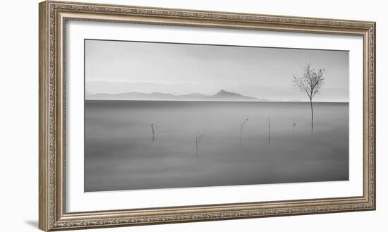 Neverland-asef azimaie-Framed Photographic Print