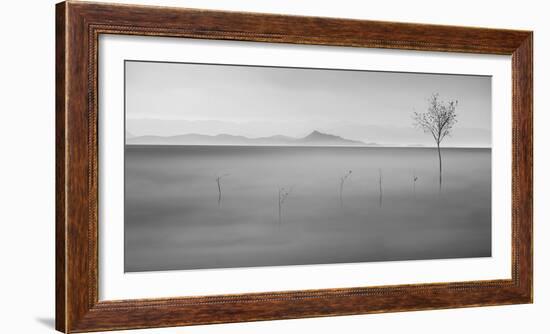 Neverland-asef azimaie-Framed Photographic Print