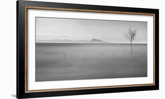 Neverland-asef azimaie-Framed Photographic Print