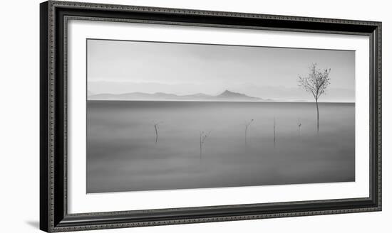 Neverland-asef azimaie-Framed Photographic Print