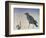 Nevermore, 2015-Magdolna Ban-Framed Giclee Print