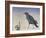 Nevermore, 2015-Magdolna Ban-Framed Giclee Print