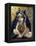 Nevermore-Jasmine Becket-Griffith-Framed Stretched Canvas