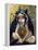 Nevermore-Jasmine Becket-Griffith-Framed Stretched Canvas