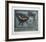 Neverness-Tighe O'Donoghue-Framed Collectable Print