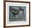 Neverness-Tighe O'Donoghue-Framed Collectable Print